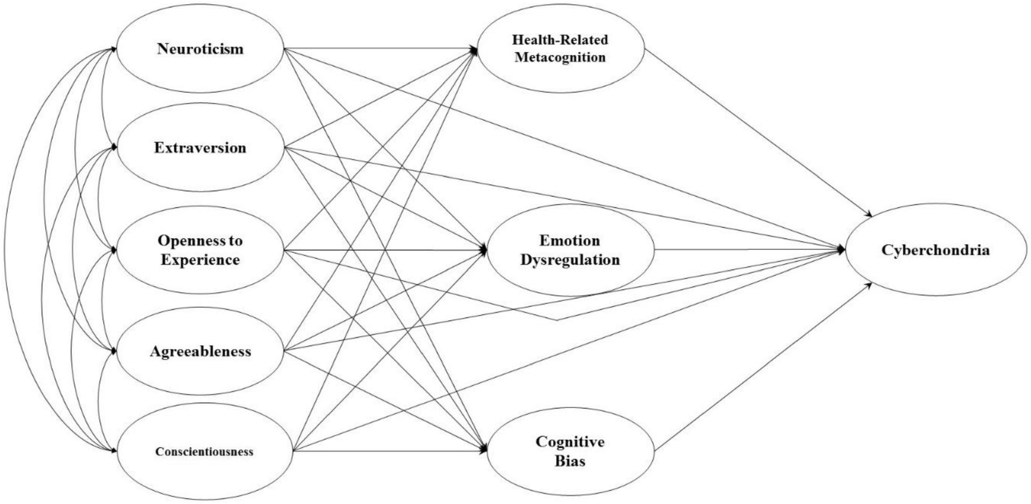 The structural model of cyberchondria based on personality traits, health-related metacognition, cognitive bias, and emotion dysregulation